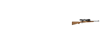 Agordina Armi di Andrea Mottes